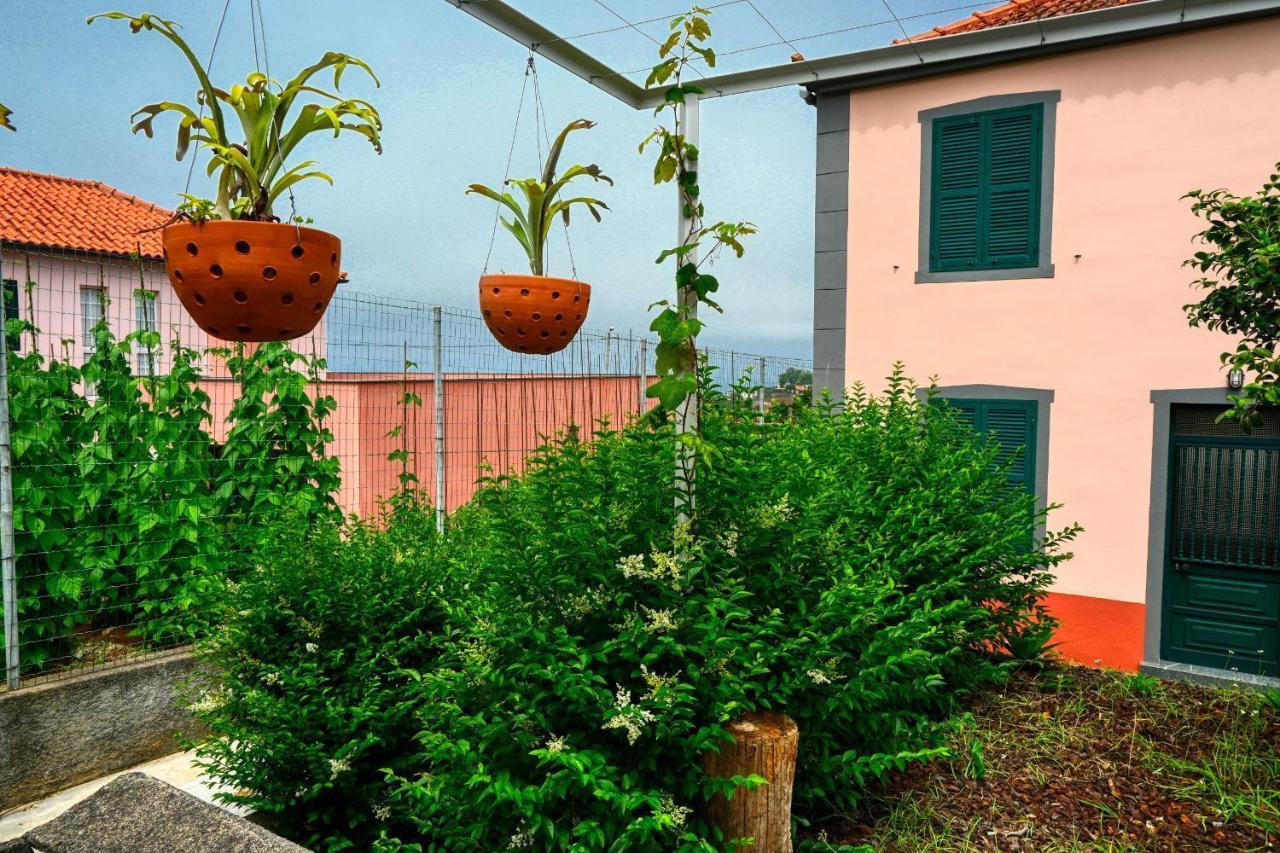 Os Ferreirinhos, A Home In Madeira São Jorge Exteriör bild