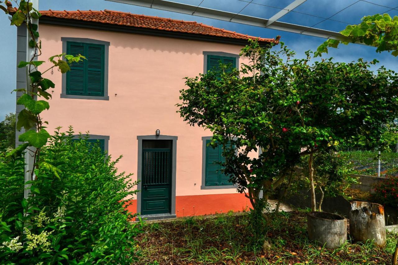 Os Ferreirinhos, A Home In Madeira São Jorge Exteriör bild