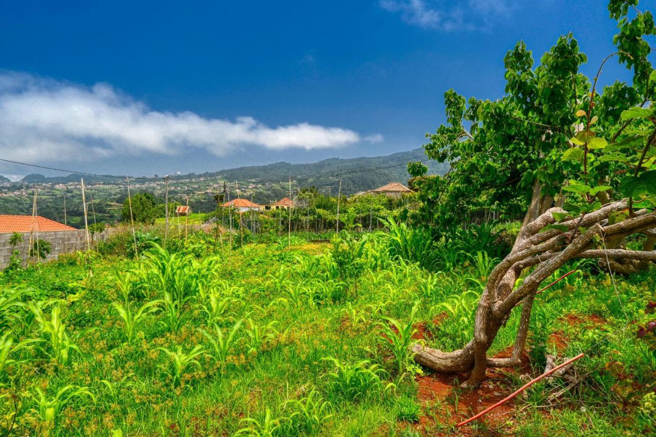 Os Ferreirinhos, A Home In Madeira São Jorge Exteriör bild